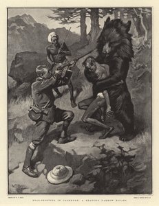 ビーターのナローエスケープ、カシミアでのクマの射撃 作： William T. Maud